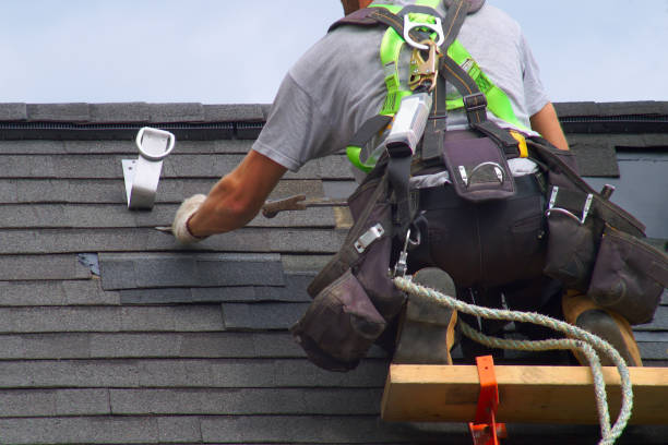 Best Custom Trim and Detailing for Siding  in Camp Hill, AL