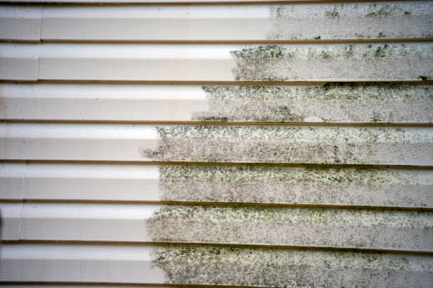  Camp Hill, AL Siding Installation Pros
