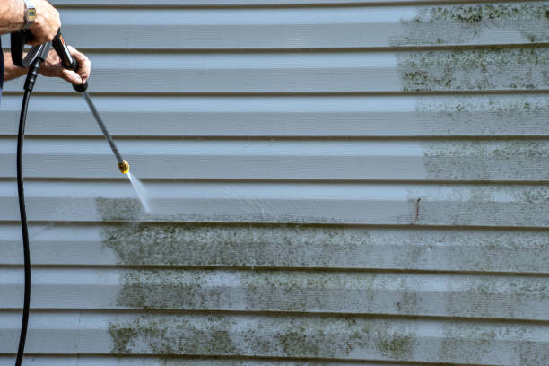 Best Storm Damage Siding Repair  in Camp Hill, AL