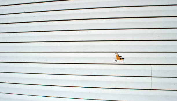 Affordable siding repair and maintenance services in Camp Hill, AL