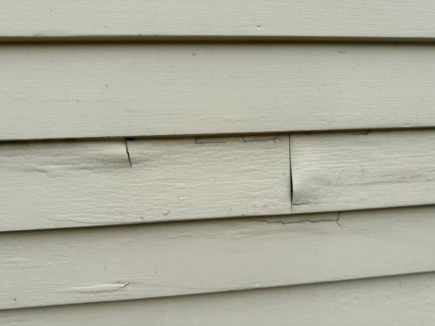 Best Custom Siding Design  in Camp Hill, AL
