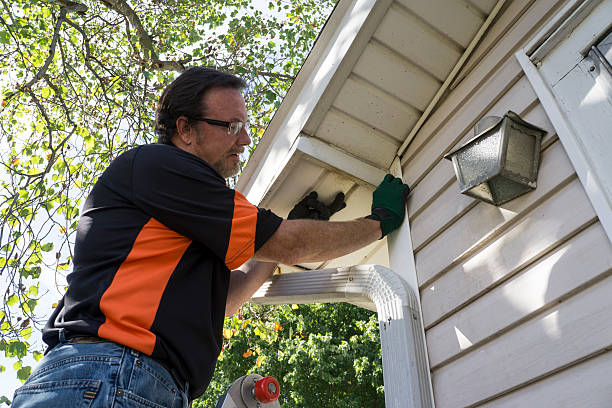 Best Siding Painting and Refinishing  in Camp Hill, AL
